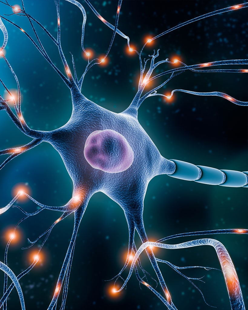Neurorestoration